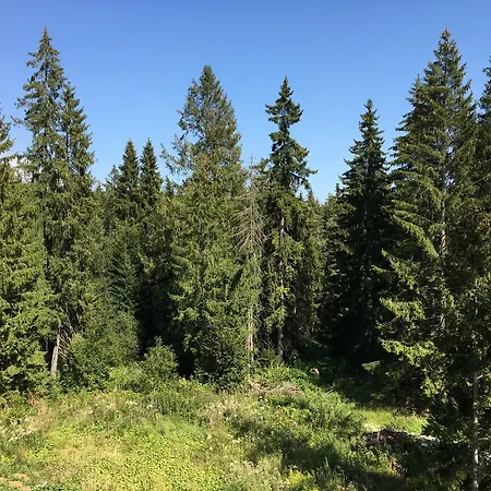 Apartmenty Patris * Tatranská Štrba