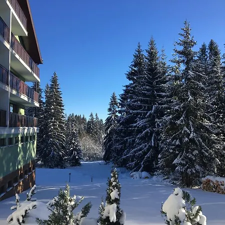 Apartmenty Patris Tatranska Strba